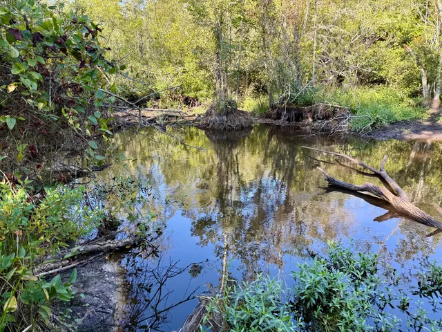 $1,280,500 | 7998 Kenwood Road, Greeleyville, SC 29056