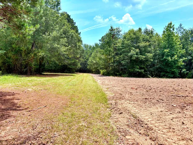 $1,280,500 | 7998 Kenwood Road, Greeleyville, SC 29056