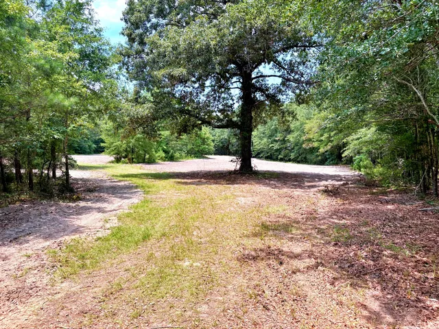 $1,280,500 | 7998 Kenwood Road, Greeleyville, SC 29056