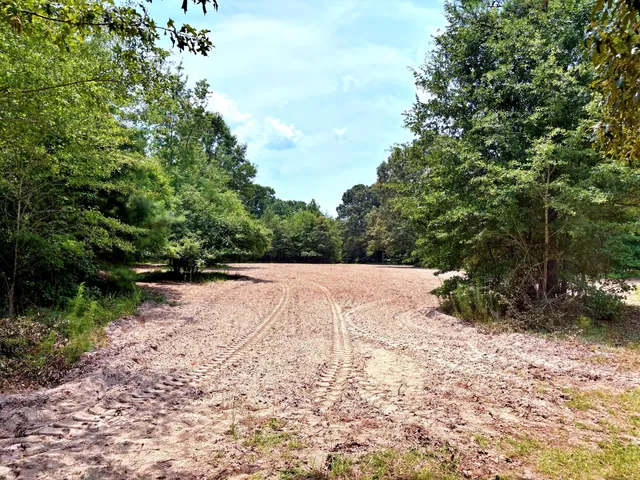 $1,280,500 | 7998 Kenwood Road, Greeleyville, SC 29056