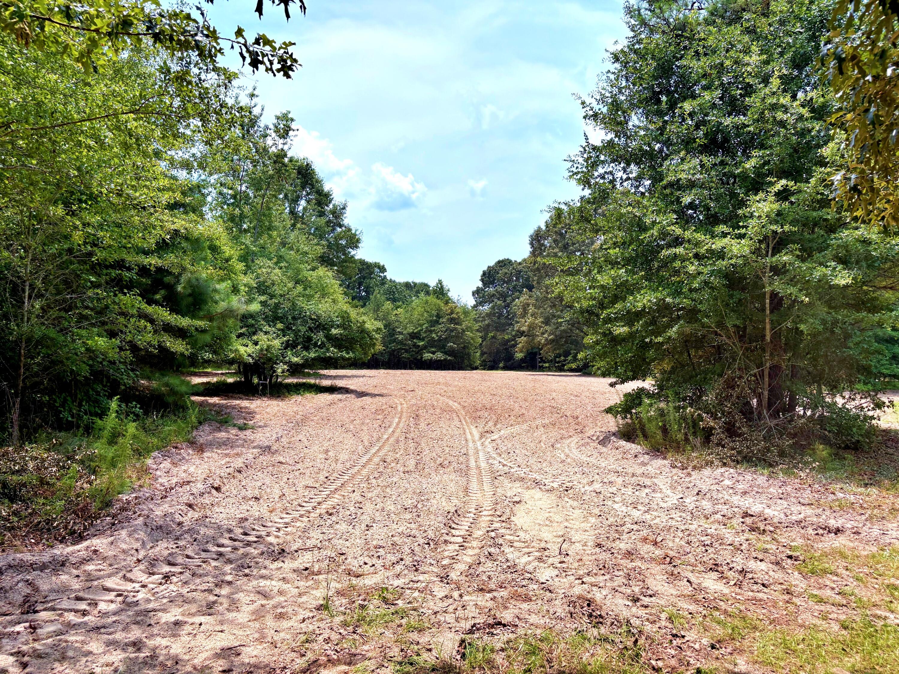 7998 Kenwood Road Greeleyville, SC 29056 - Photo 9 of 52 batch_IMG_0617