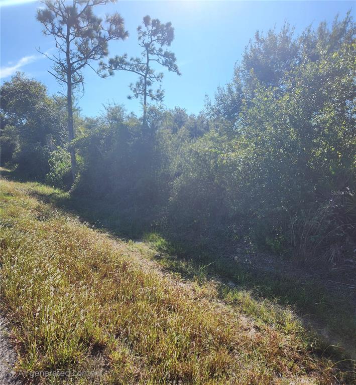 29221 Defiance Avenue Punta Gorda, FL 33982 - Photo 1 of 1 a view of a yard