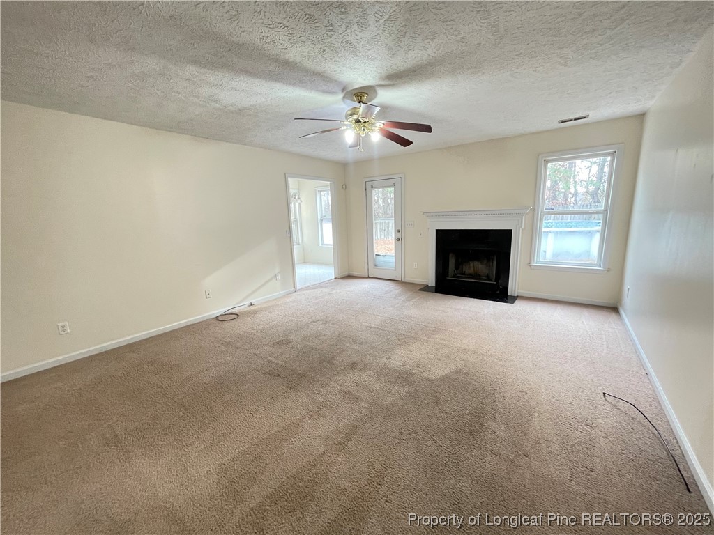 177 Deep Creek Lane Raeford, NC 28376 - Photo 26 of 28 an empty room with windows and fireplace