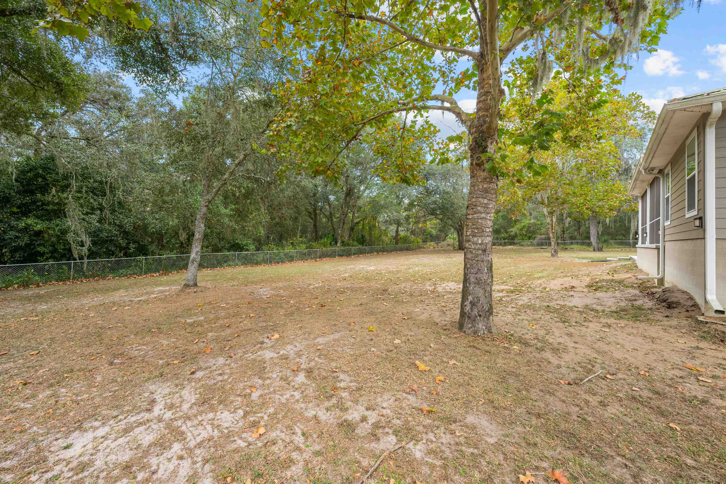 232 Kyte Road San Mateo, FL 32187 - Photo 29 of 36 View of yard