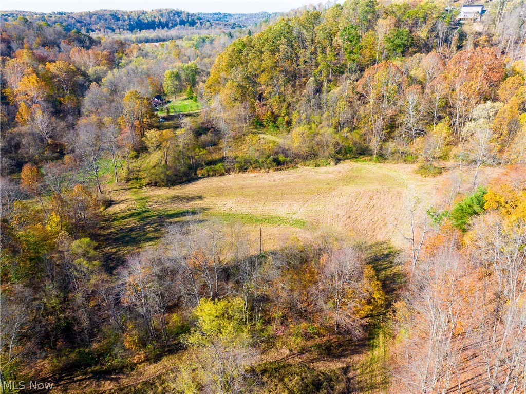 Plum Road Kimbolton, OH 43749 - Photo 46 of 50 Bird's eye view of a forest