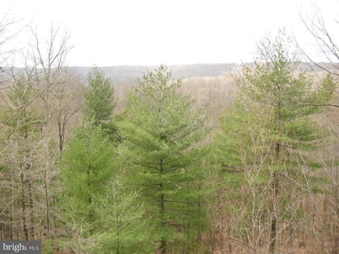 21 Riggs Lane Capon Bridge, WV 26711 - Photo 11 of 24 a view of a yard and mountains