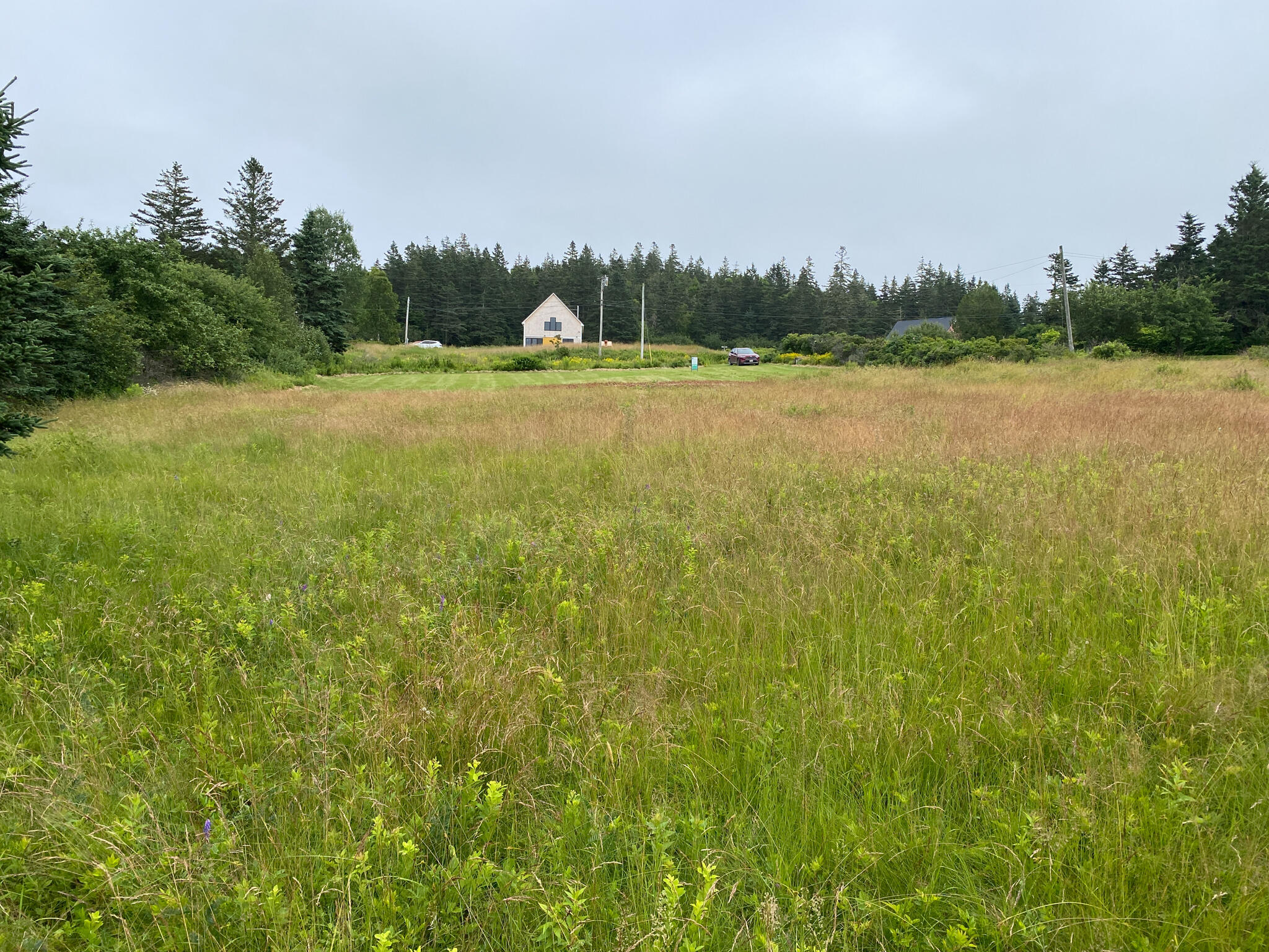 187 Little Machias Road Cutler, ME 04626 - Photo 9 of 10 IMG_3967