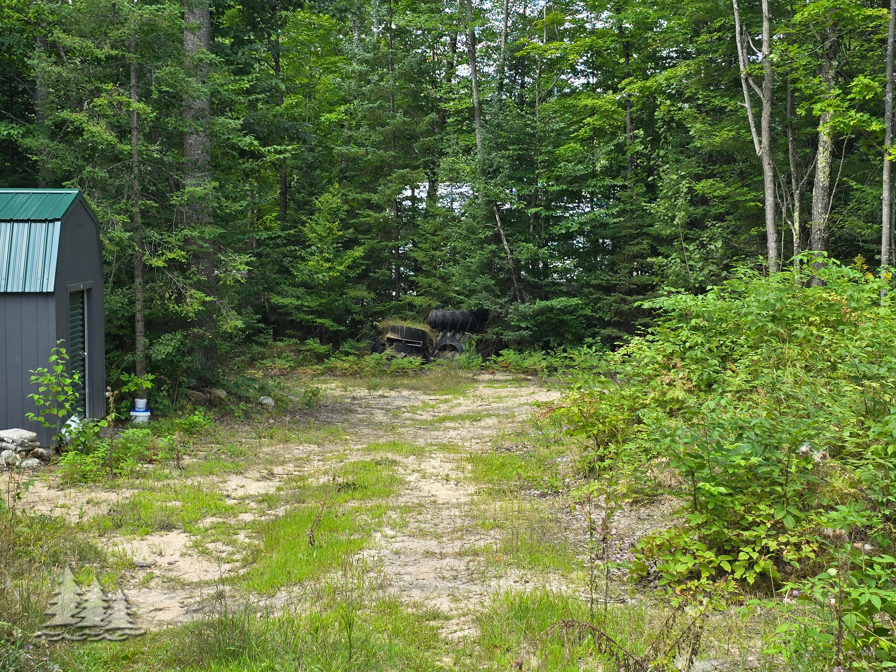 Mccormick Lake Road Atlanta, MI 49709 - Photo 11 of 17 Gallery Image 11