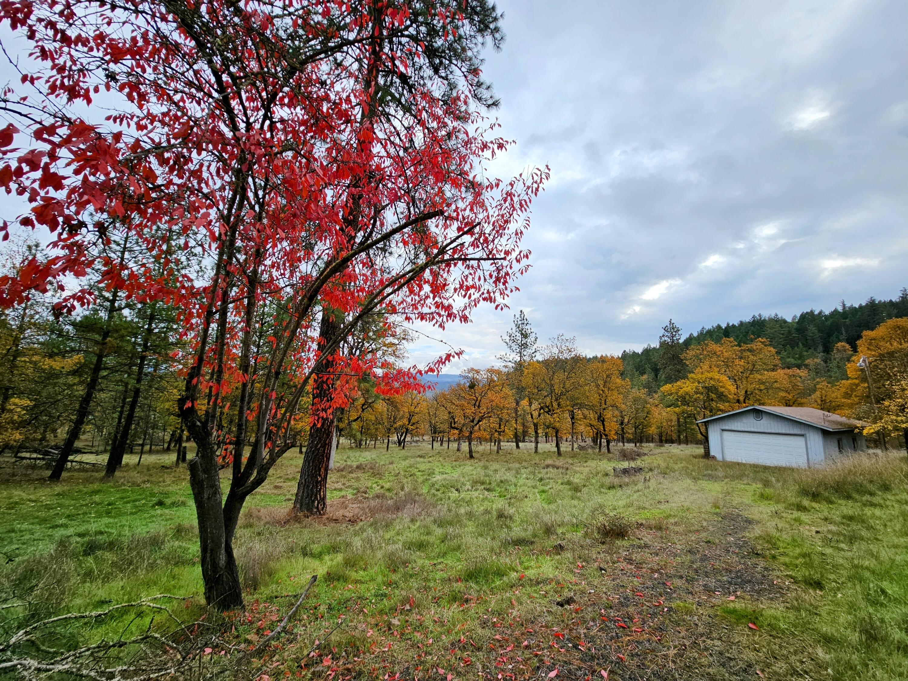 5850 Rhodes Lane Eagle Point, OR 97524 - Photo 1 of 11 20231107_121011~2