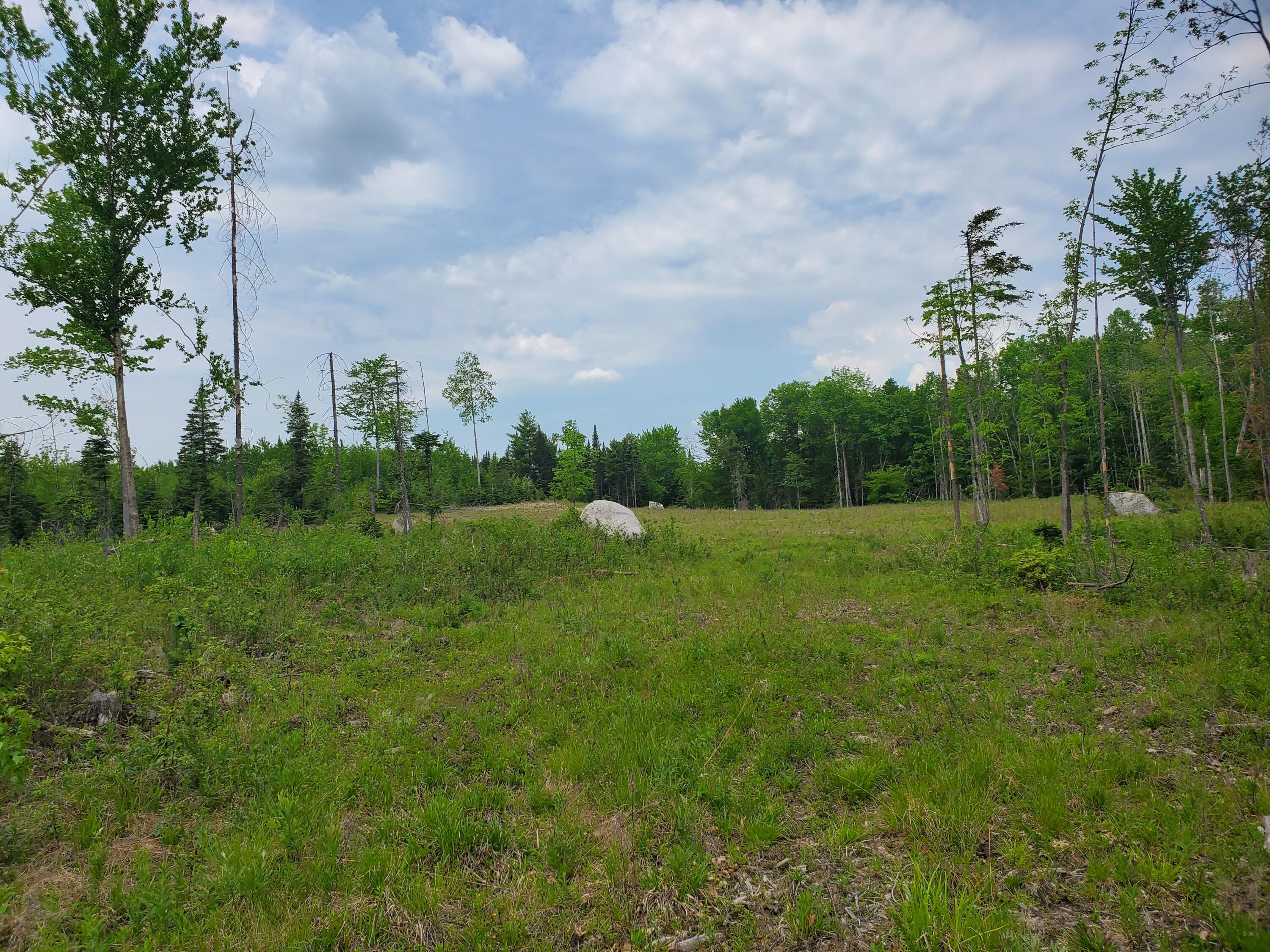 Lot 6-3 South Harmony Road Athens, ME 04912 - Photo 11 of 11 20230602_123914