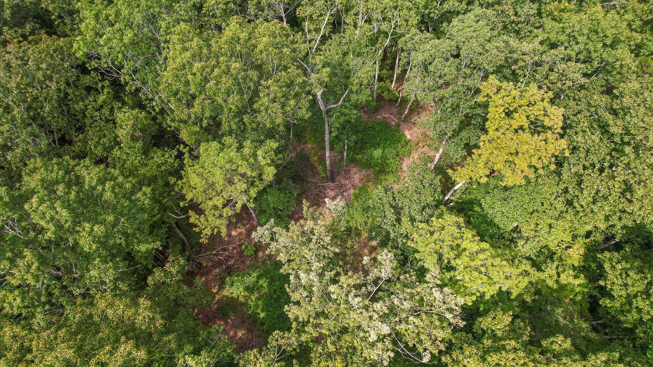 6180 Slygo Road Wildwood, GA 30757 - Photo 11 of 26 22-Slygo Rd-15