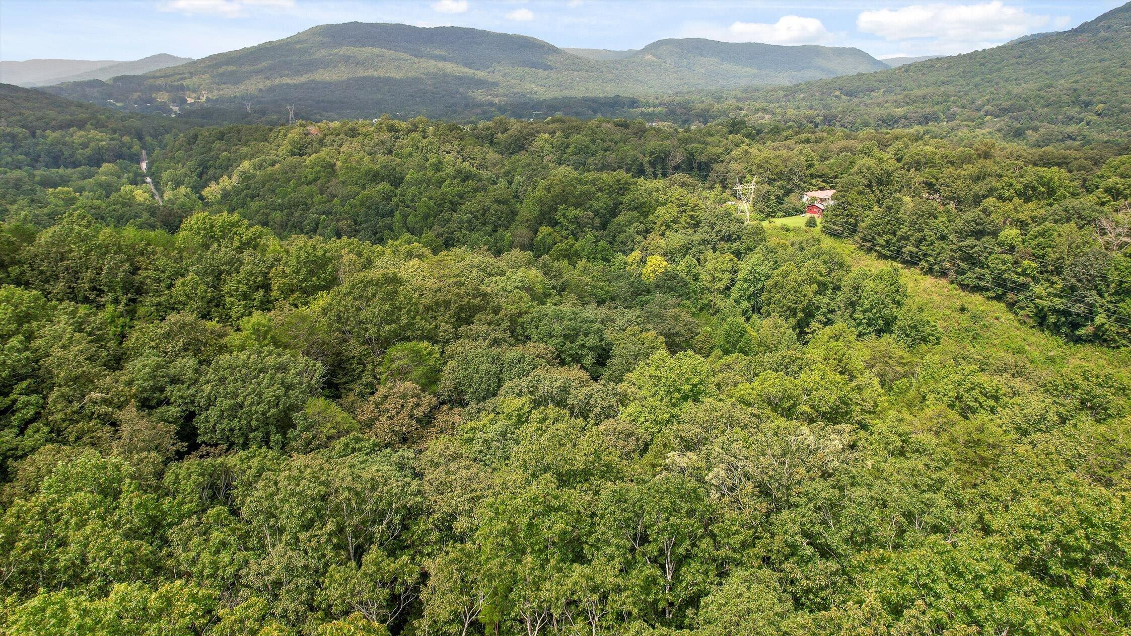 6180 Slygo Road Wildwood, GA 30757 - Photo 14 of 26 18-Slygo Rd-16