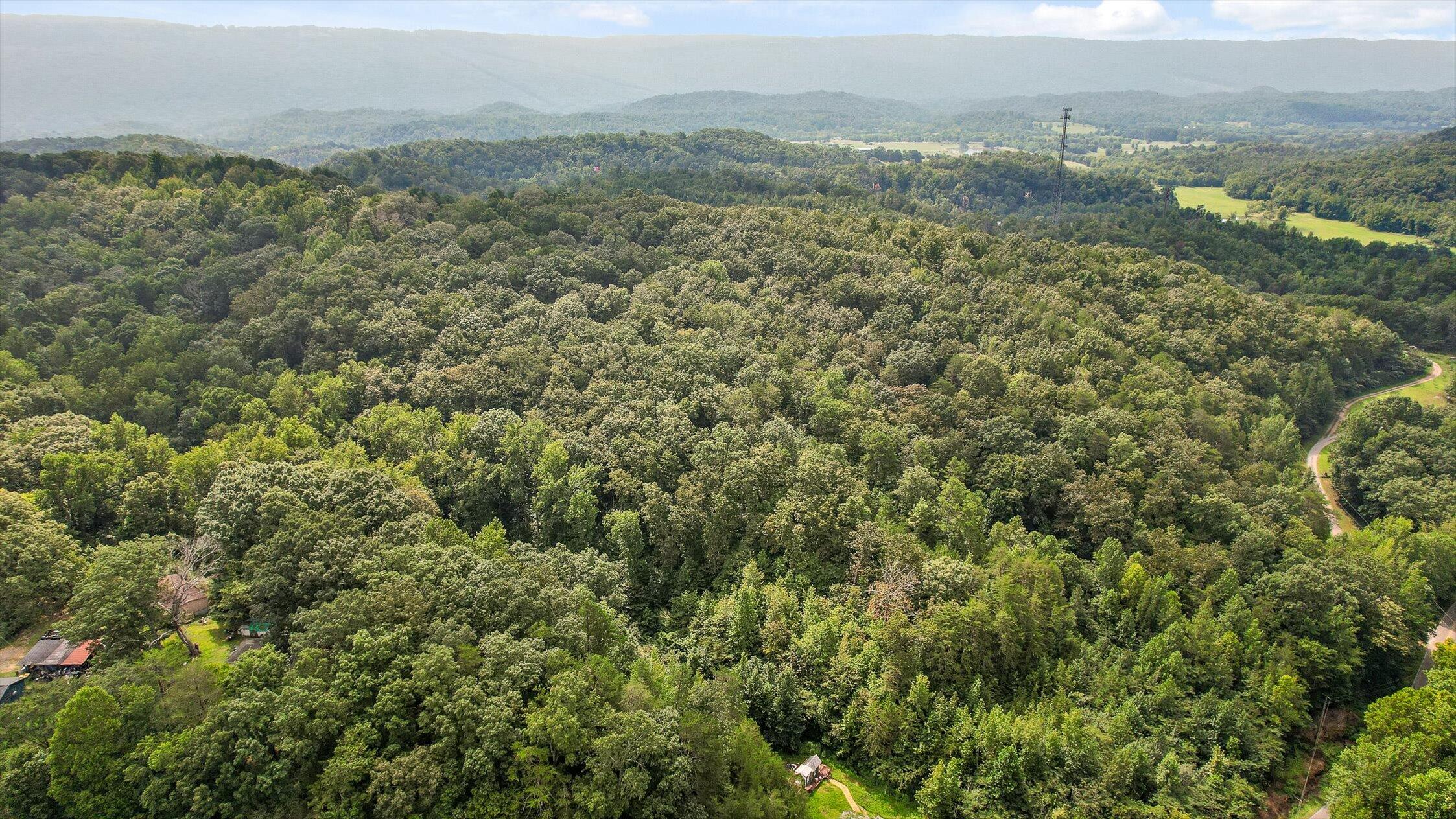 6180 Slygo Road Wildwood, GA 30757 - Photo 15 of 26 17-Slygo Rd-12