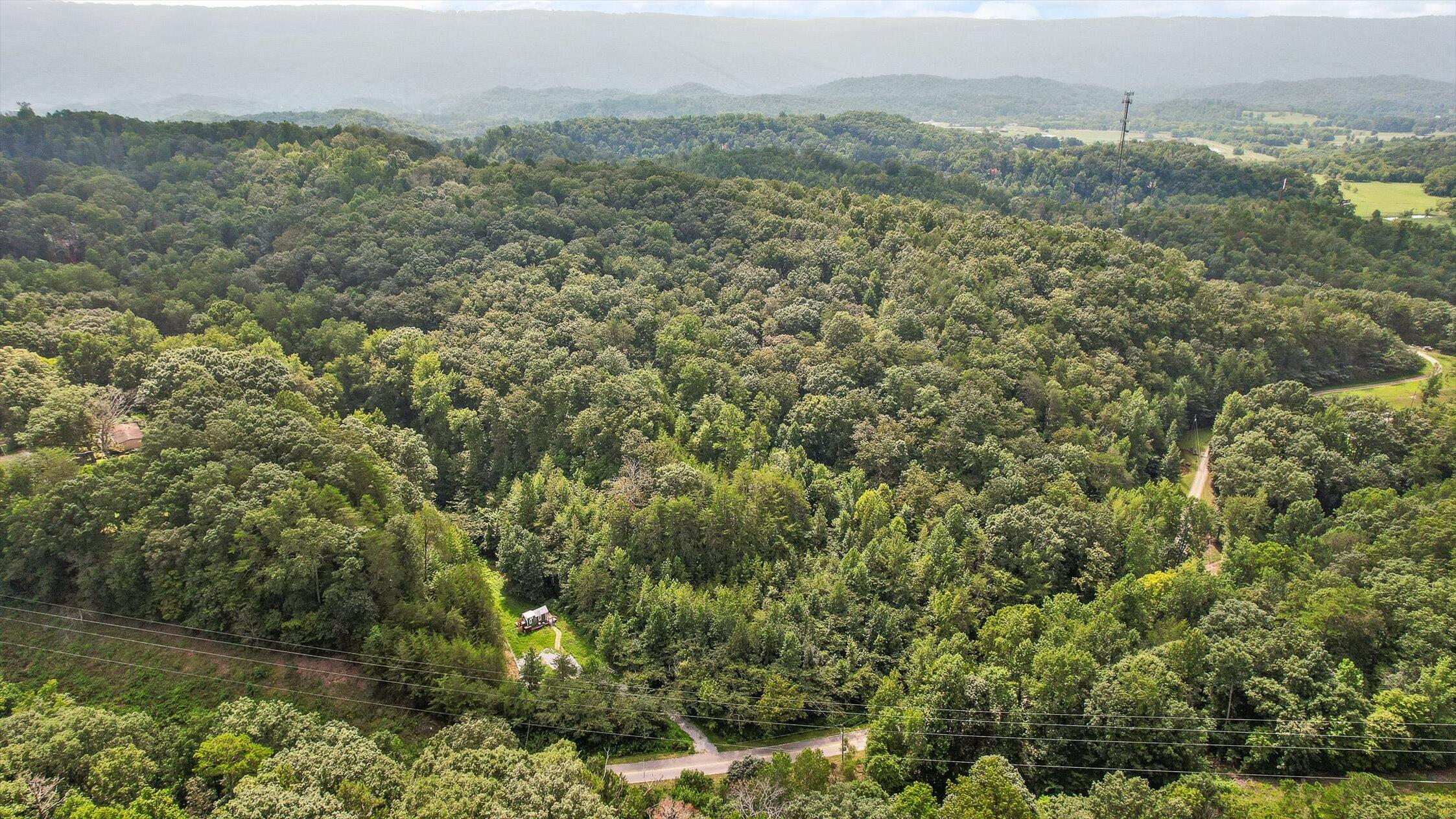 6180 Slygo Road Wildwood, GA 30757 - Photo 16 of 26 16-Slygo Rd-11