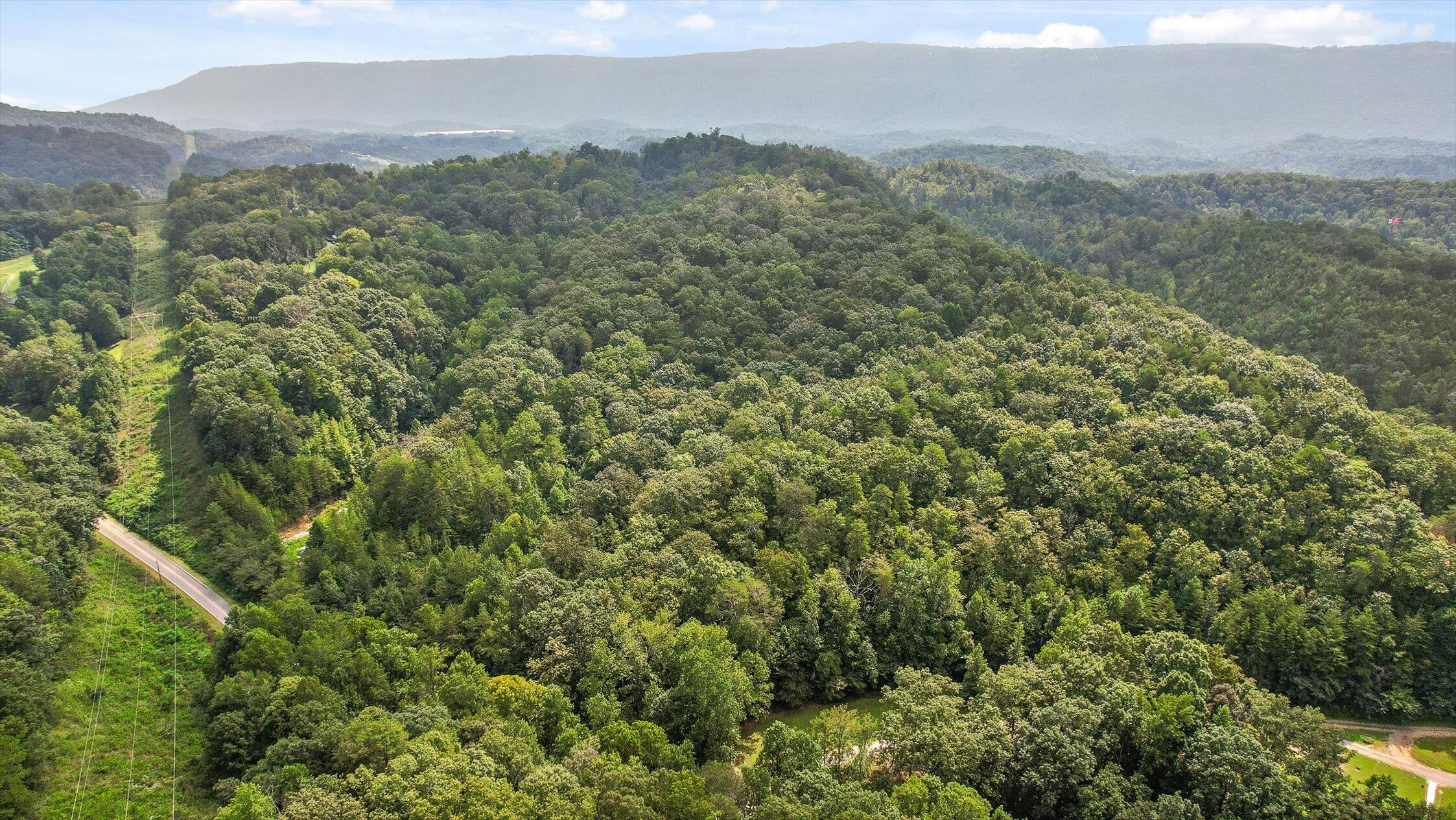 6180 Slygo Road Wildwood, GA 30757 - Photo 18 of 26 14-Slygo Rd-9