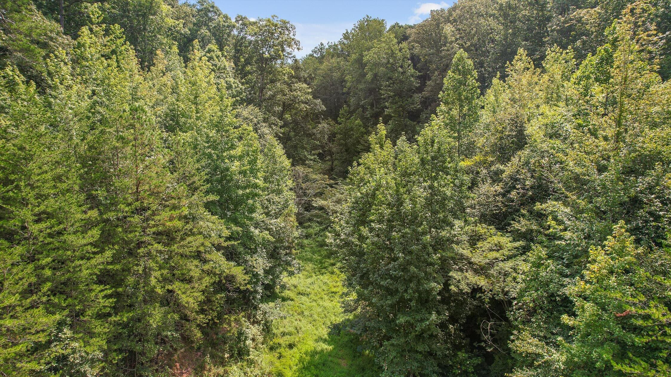 6180 Slygo Road Wildwood, GA 30757 - Photo 7 of 26 26-Slygo Rd-19