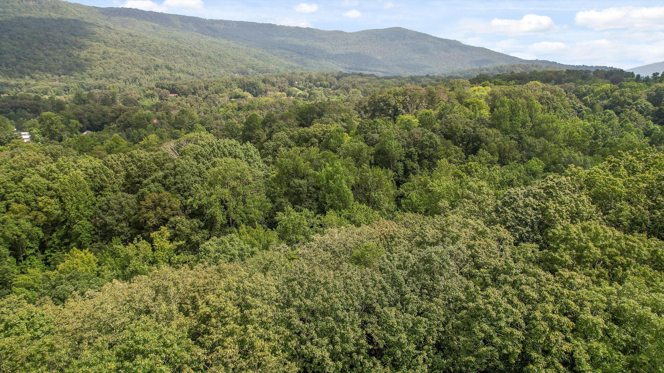 6180 Slygo Road Wildwood, GA 30757 - Photo 9 of 26 24-Slygo Rd-17