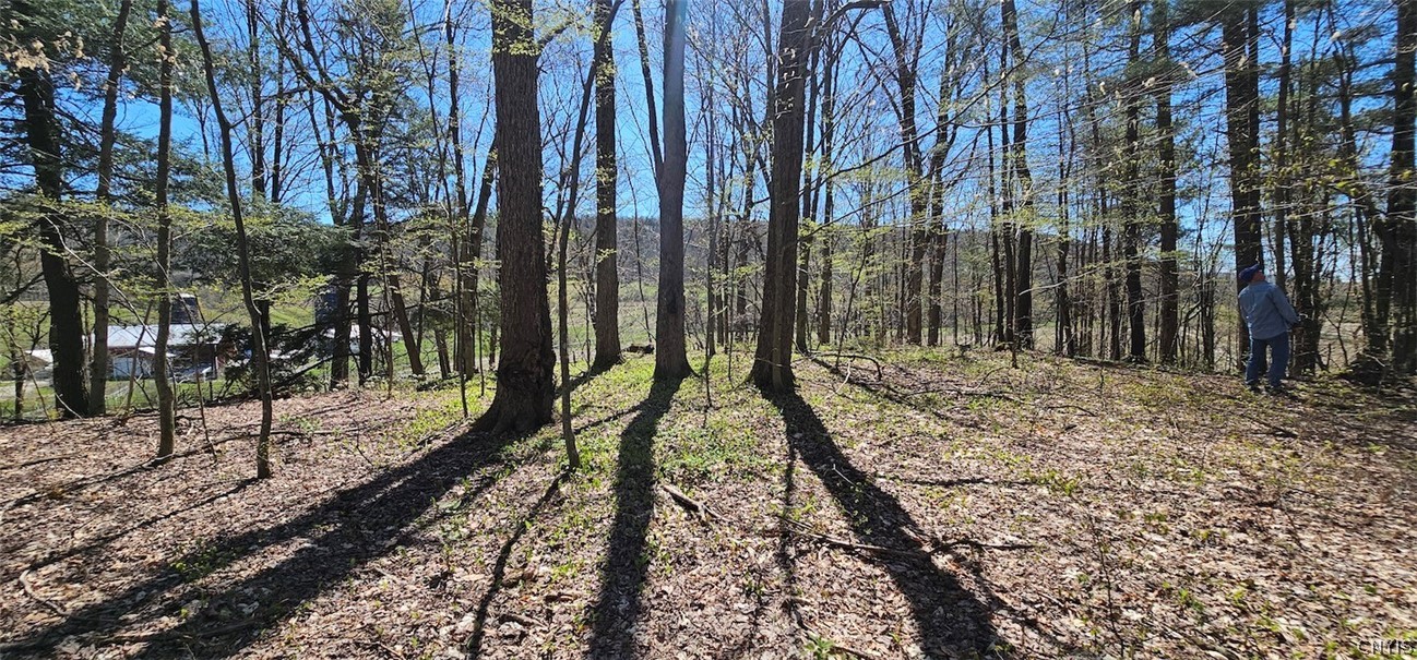 1720 County Route 12 De Ruyter, NY 13052 - Photo 27 of 49