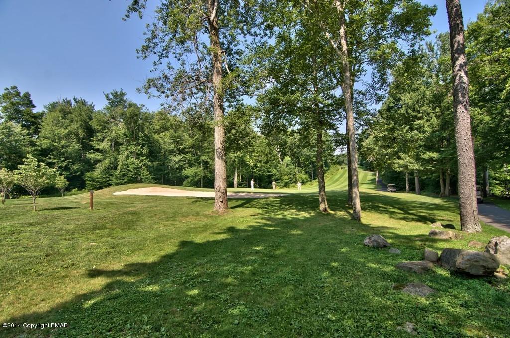 4161 Hickory Road Tobyhanna, PA 18466 - Photo 22 of 31 a view of a tree in a yard
