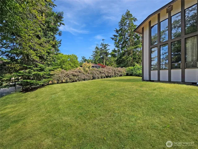 a view of a backyard with plants and large trees