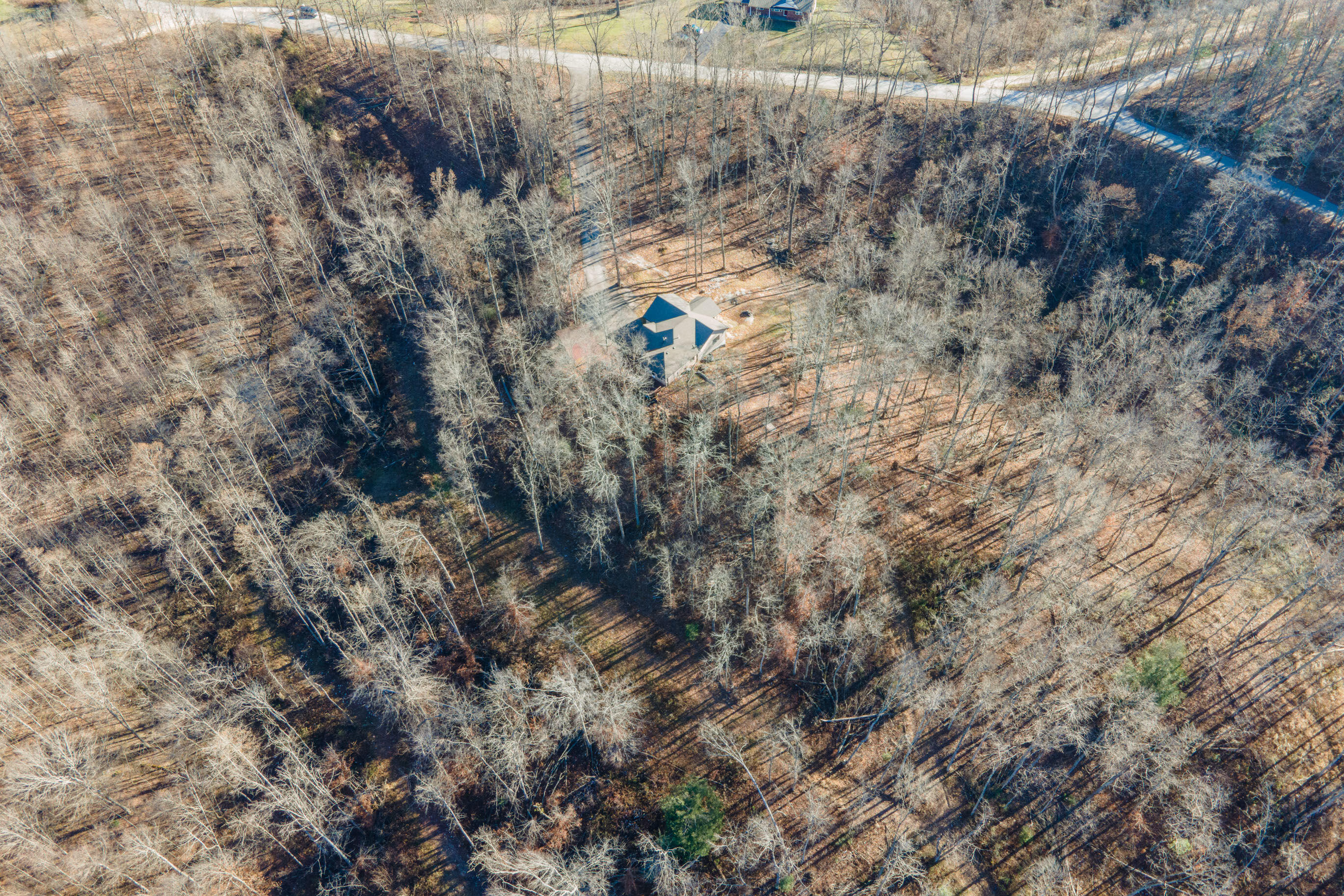 494 Glencairn Road Pine Ridge, KY 41360 - Photo 10 of 41 20211208-494-Glencarin-Rd-blankenship-dr