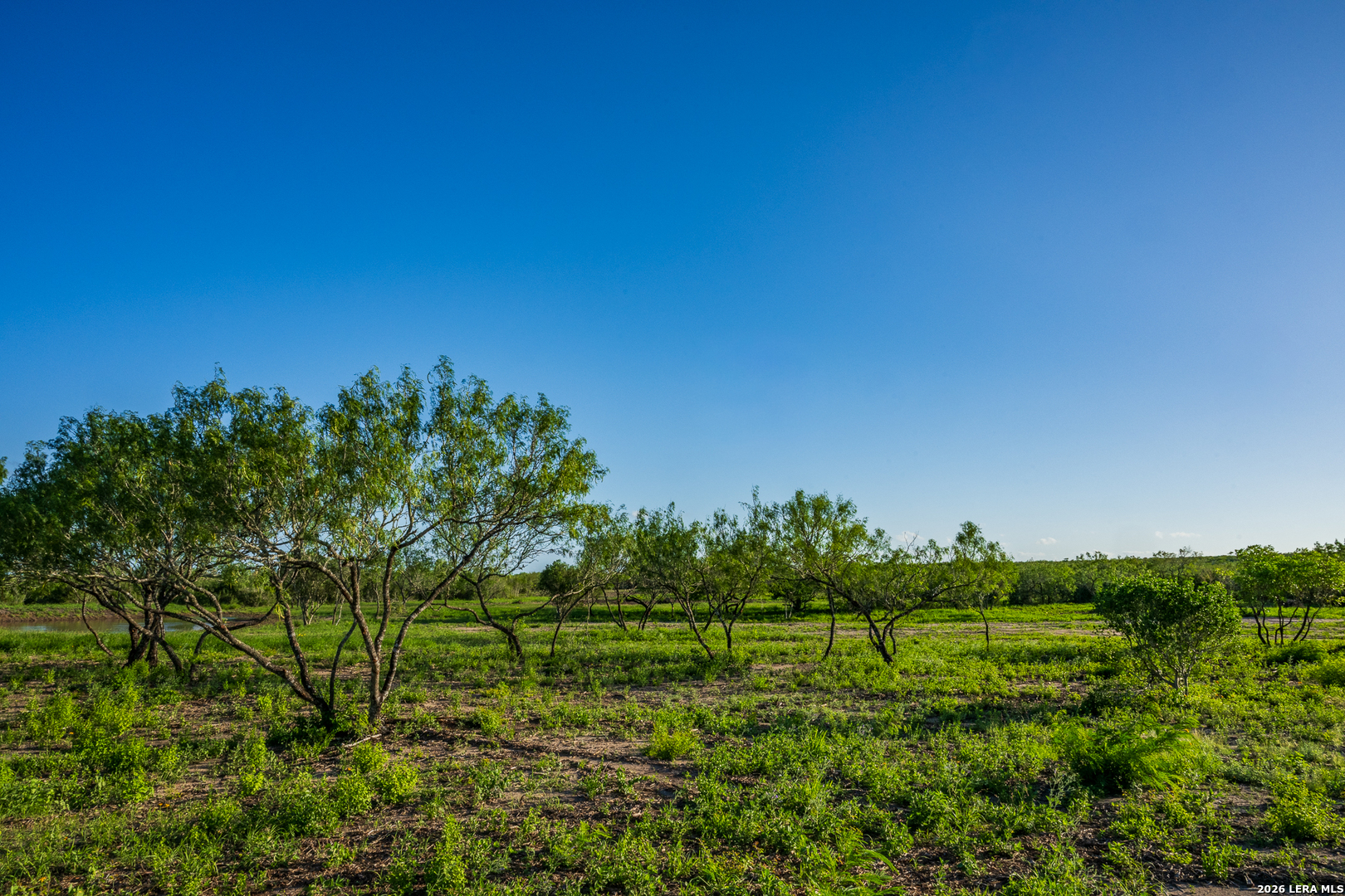 111 Los Lomas Ranch Road Freer, TX 78357 - Photo 15 of 31