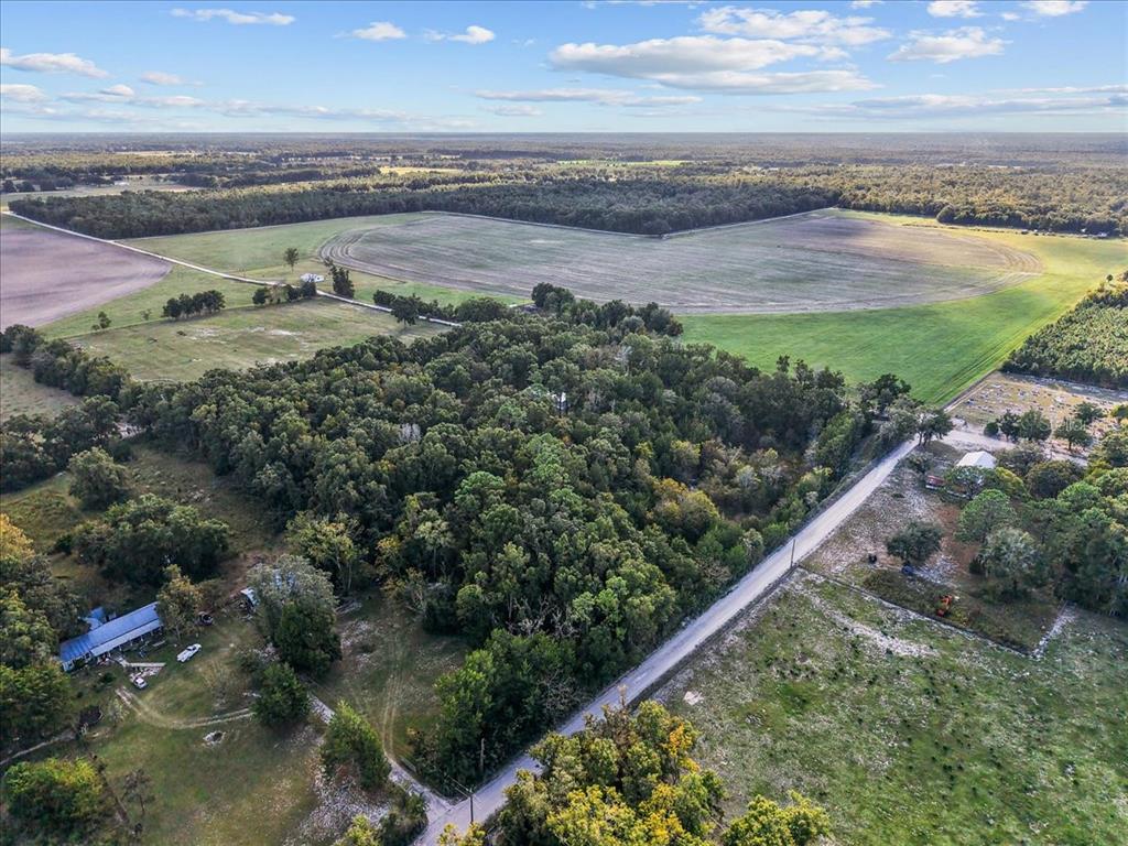 4654 Northwest 45th Avenue Bell, FL 32619 - Photo 44 of 52 a view of a lake with a city