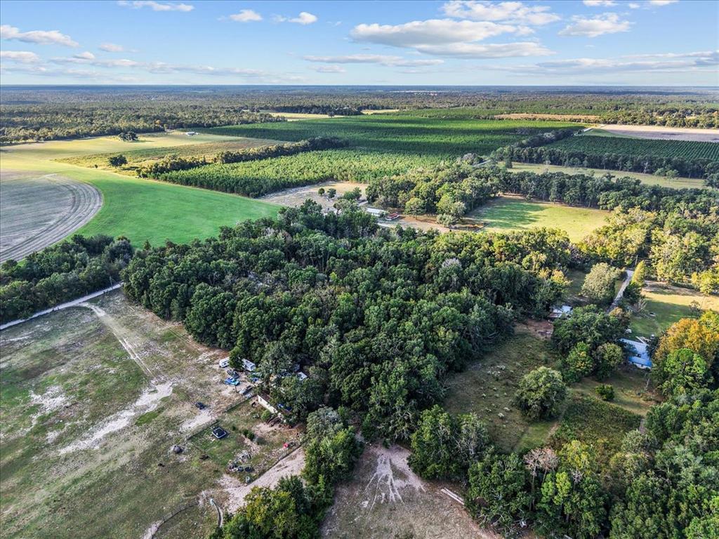 4654 Northwest 45th Avenue Bell, FL 32619 - Photo 45 of 52 a view of a lake with a yard