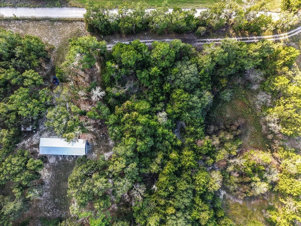 4654 Northwest 45th Avenue Bell, FL 32619 - Photo 47 of 52 a picture of a tree with a lake view