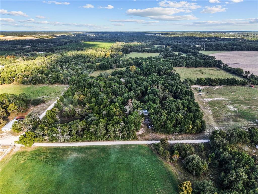 4654 Northwest 45th Avenue Bell, FL 32619 - Photo 49 of 52 a view of a garden from a lake