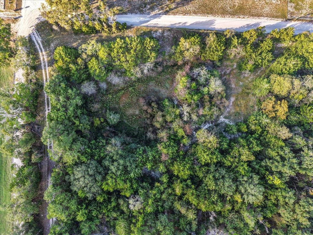 4654 Northwest 45th Avenue Bell, FL 32619 - Photo 50 of 52 a view of a backyard of the house