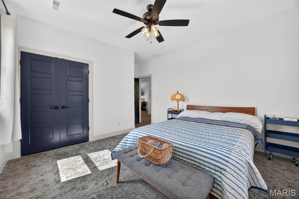 24101 Brink Road Carlyle, IL 62231 - Photo 39 of 49