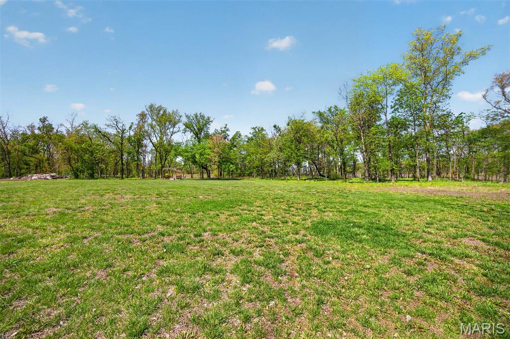 24101 Brink Road Carlyle, IL 62231 - Photo 48 of 49