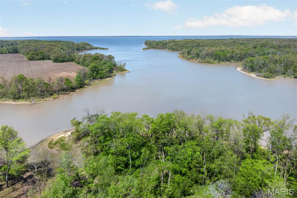 24101 Brink Road Carlyle, IL 62231 - Photo 49 of 49