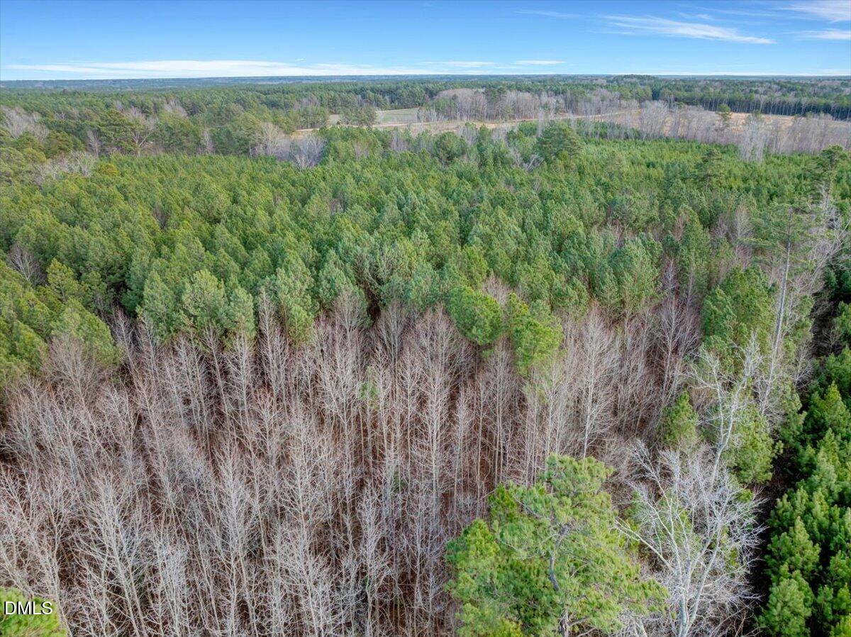 2 Bear's Den Road Littleton, NC 27850 - Photo 11 of 18 10