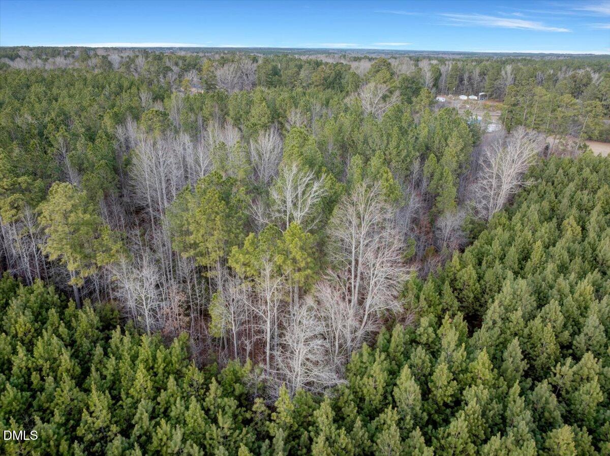 2 Bear's Den Road Littleton, NC 27850 - Photo 13 of 18 12