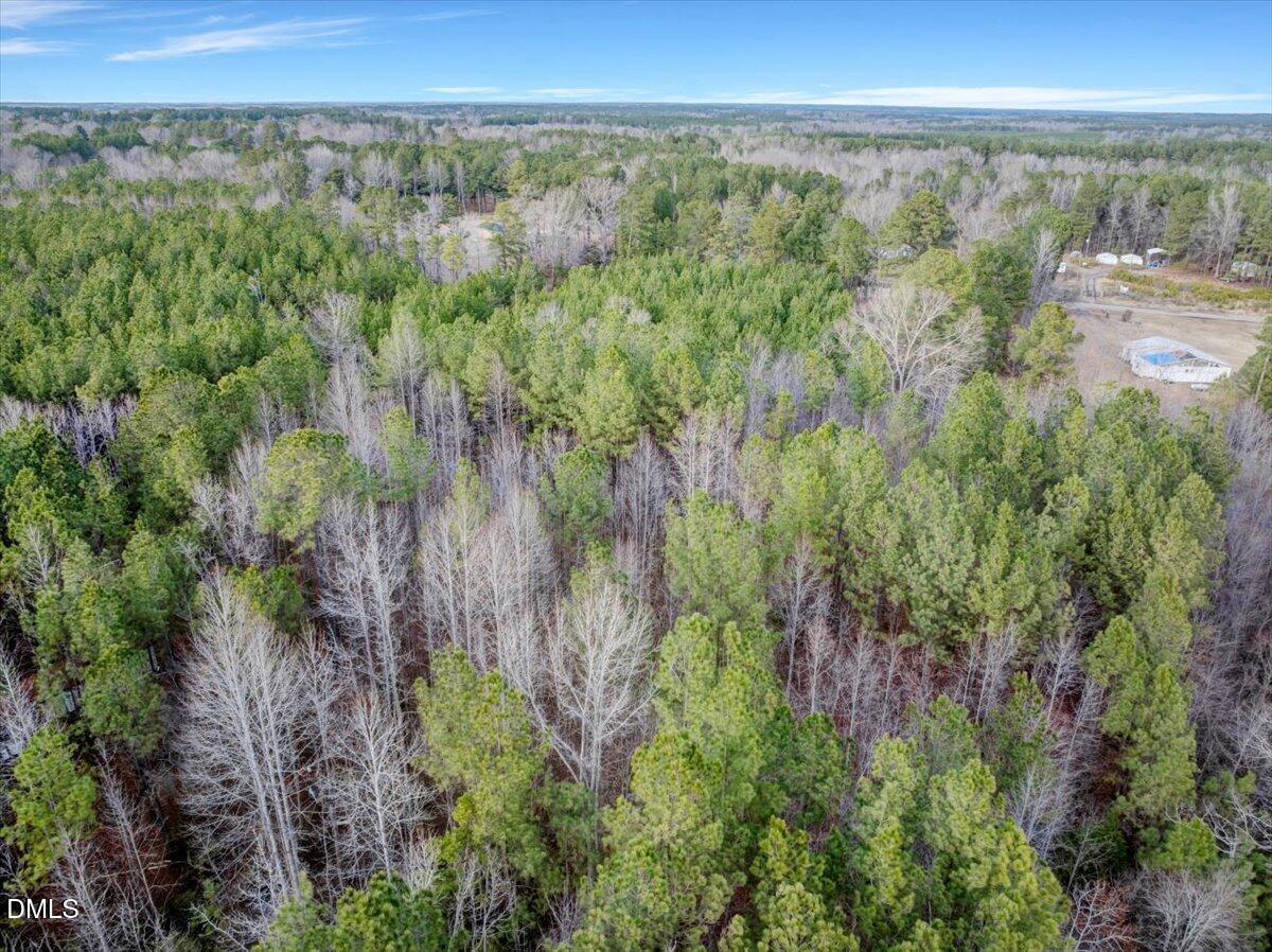 2 Bear's Den Road Littleton, NC 27850 - Photo 14 of 18 13