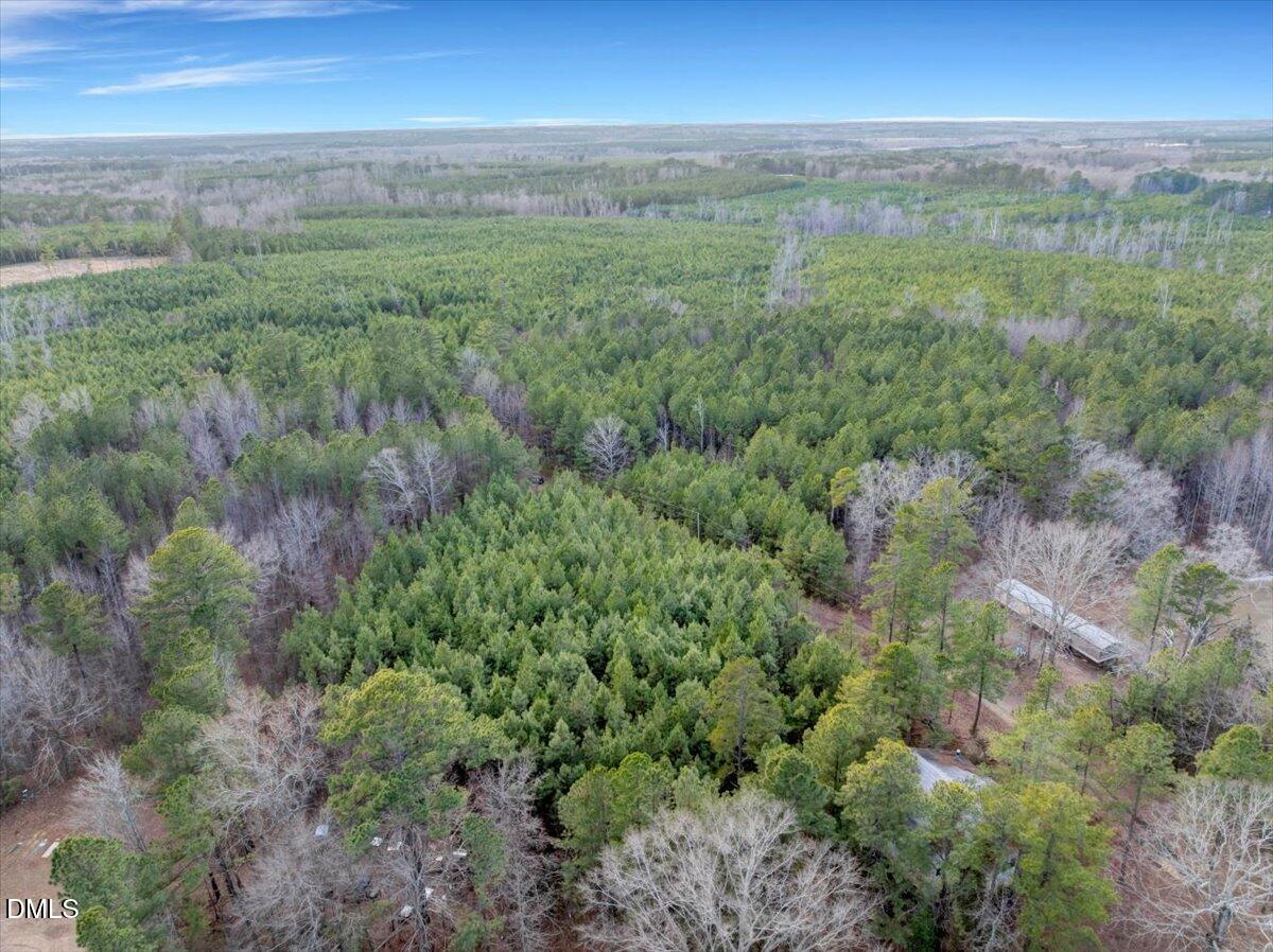 2 Bear's Den Road Littleton, NC 27850 - Photo 8 of 18 07