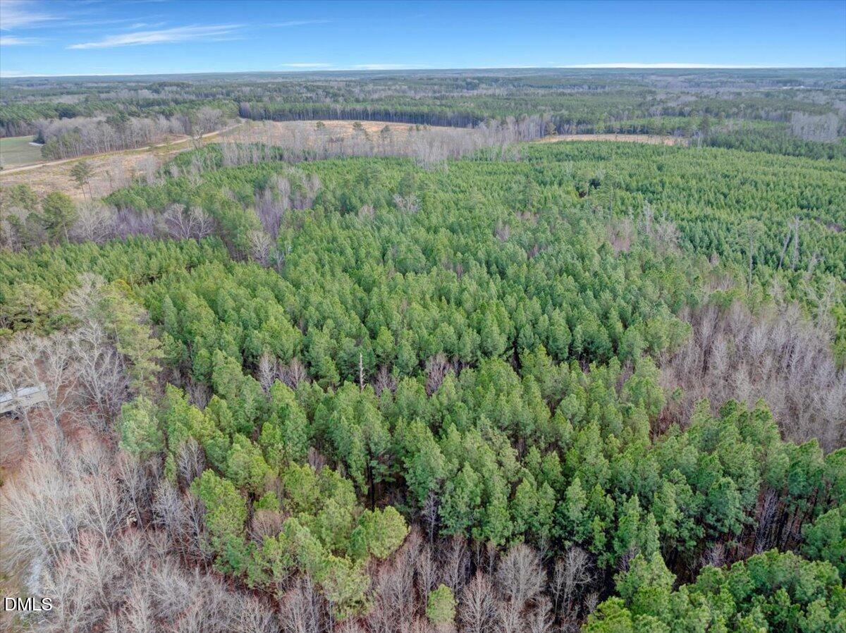 2 Bear's Den Road Littleton, NC 27850 - Photo 10 of 18 09