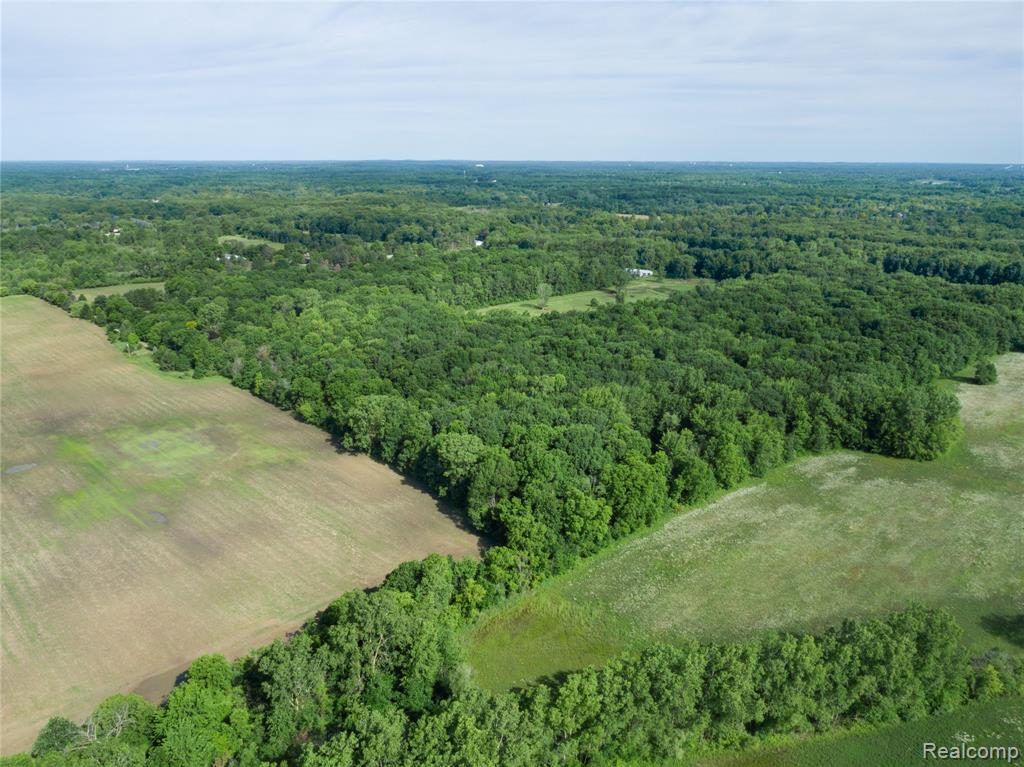 0 6 Mile Road Northville, MI 48168 - Photo 12 of 18