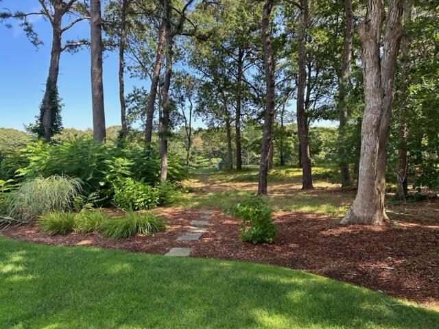 201 Dun Robin Road Mashpee, MA 02649 - Photo 27 of 27 Backyard View