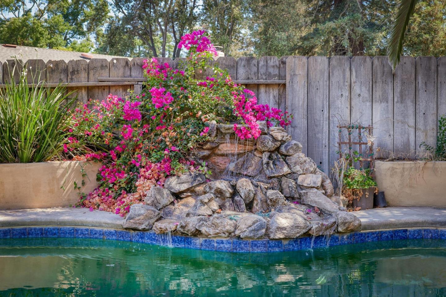 1504 Mable Avenue Modesto, CA 95355 - Photo 38 of 47 a view of a yard with plants and large trees