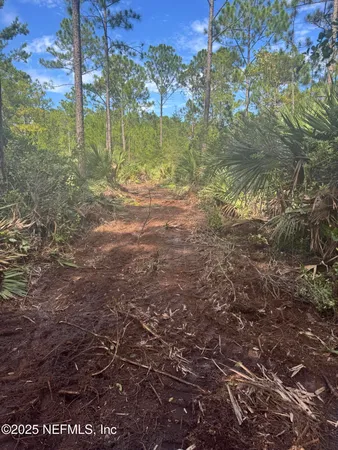 $19,999 | 0 West 11th Street, St. Augustine, FL 32084