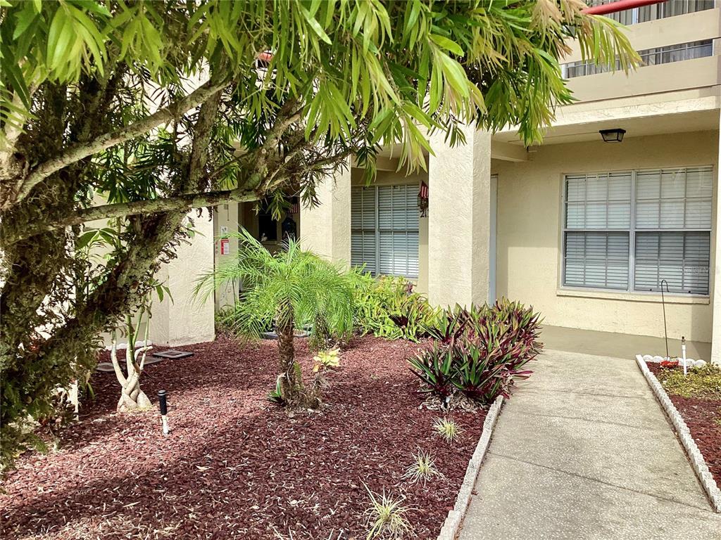 4529 Whitton Way, Unit 214 New Port Richey, FL 34653 - Photo 2 of 45 a plant is in front of a house