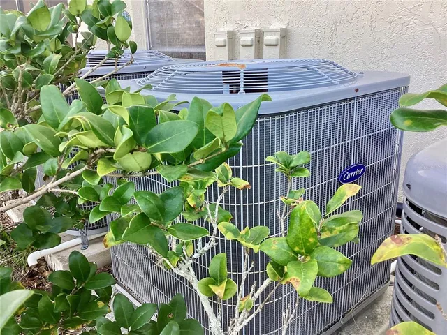 a view of a chairs and table in a patio