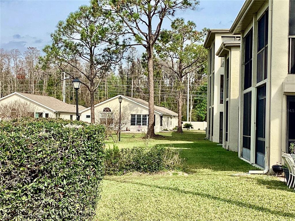 4529 Whitton Way, Unit 214 New Port Richey, FL 34653 - Photo 29 of 45 a view of a house with a yard