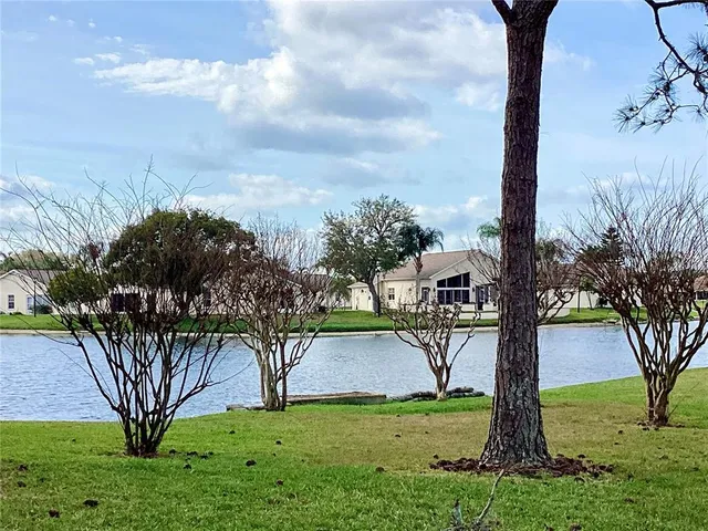 a view of a garden with a tree in the park