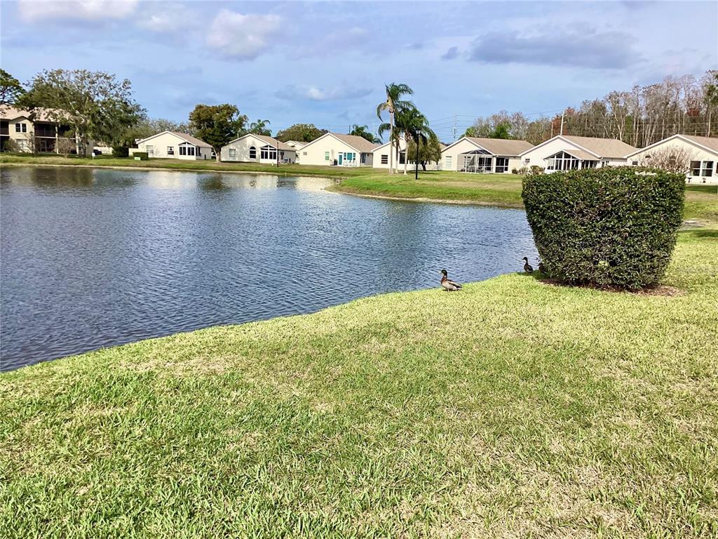 4529 Whitton Way, Unit 214 New Port Richey, FL 34653 - Photo 31 of 45 a view of a water fountain and an outdoor space