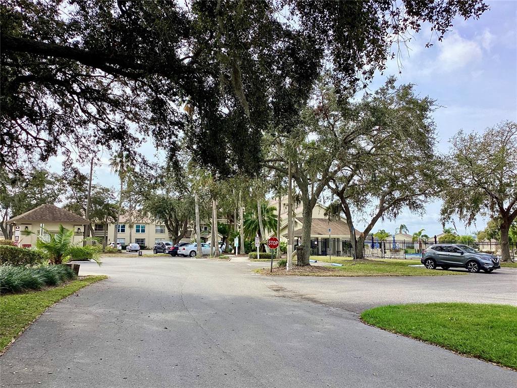 4529 Whitton Way, Unit 214 New Port Richey, FL 34653 - Photo 38 of 45 a building with trees in front of it