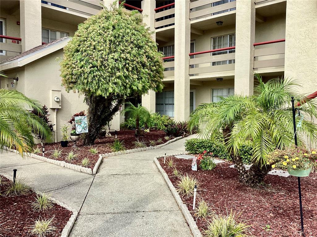 4529 Whitton Way, Unit 214 New Port Richey, FL 34653 - Photo 39 of 45 a view of a building with plants and large tree